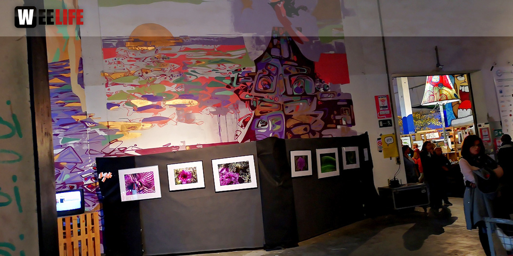 HOFTEX Plosion 2018 Sonntag