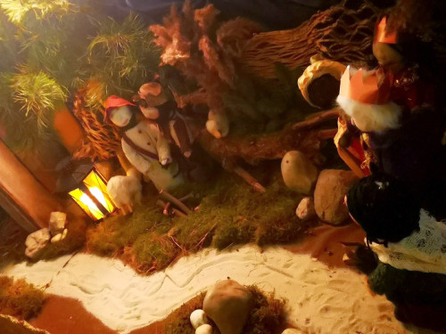 TPZ Adventsdorf 2018 – Foto 12