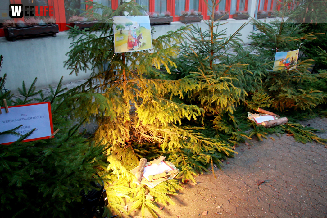TPZ Adventsdorf 2018