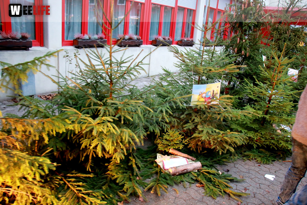 TPZ Adventsdorf 2018