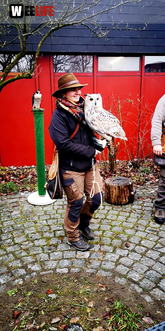 Mittelalterlicher Adventsmarkt am Campus 1.12.2018