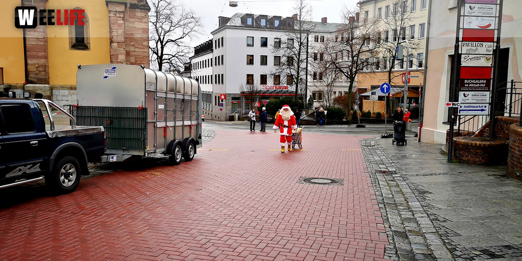 Rentiere  Hofer Weihnachtsmarkt 2018