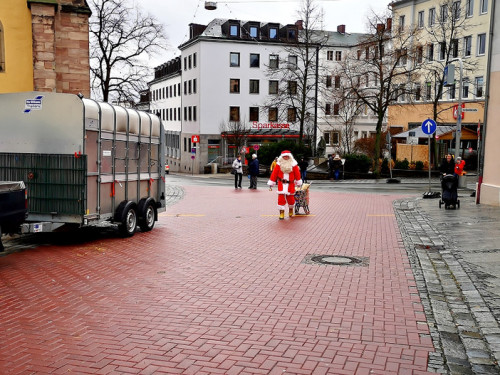 Rentiere  Hofer Weihnachtsmarkt 2018 – Foto 3