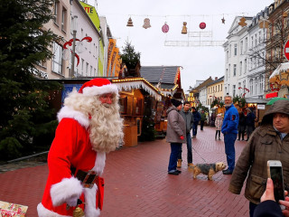 Foto 220462 im Album