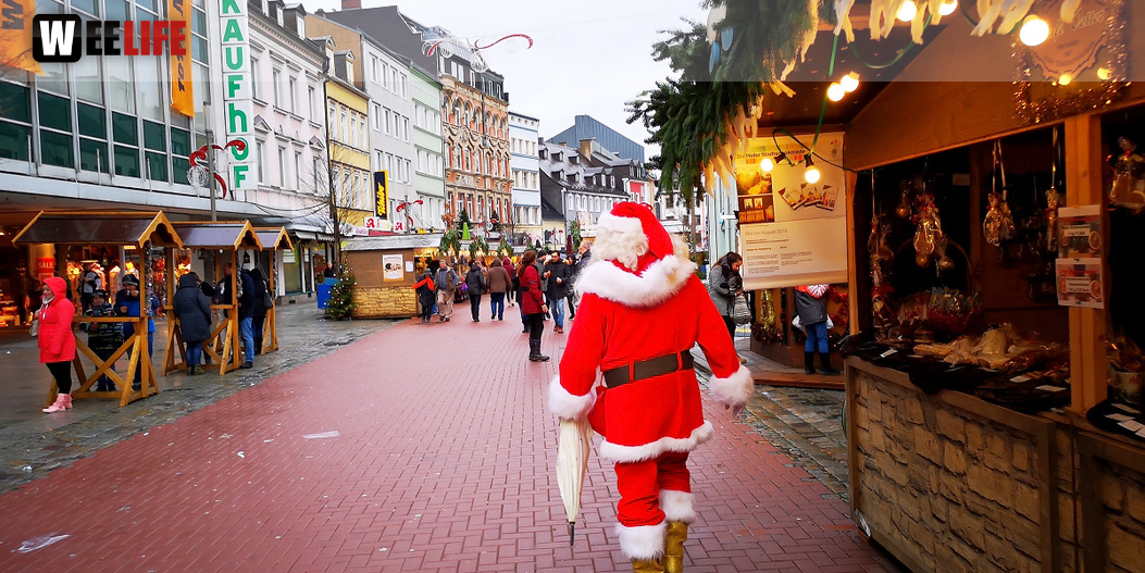 Rentiere  Hofer Weihnachtsmarkt 2018
