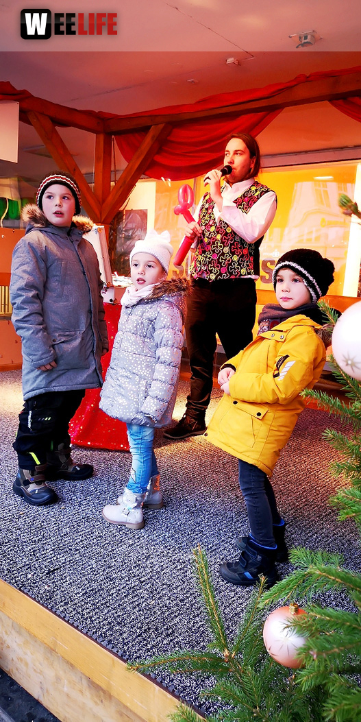 Rentiere  Hofer Weihnachtsmarkt 2018