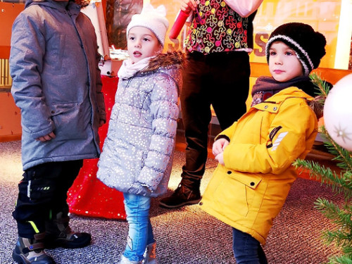 Rentiere  Hofer Weihnachtsmarkt 2018 – Foto 14