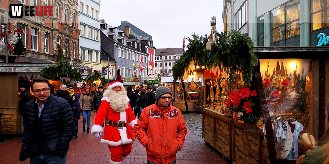 Rentiere  Hofer Weihnachtsmarkt 2018