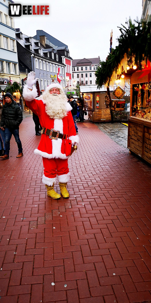 Rentiere  Hofer Weihnachtsmarkt 2018