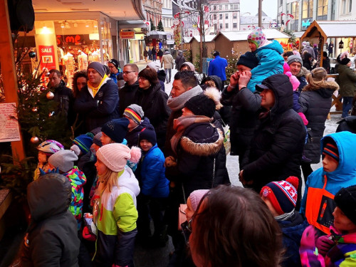 Eisschnitzer  Hofer Weihnachtsmarkt 2018 16.12.2018 – Foto 13
