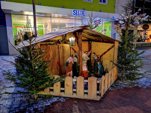 Eisschnitzer  Hofer Weihnachtsmarkt 2018 16.12.2018 – Foto 36