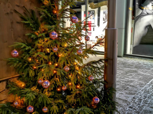 Eisschnitzer  Hofer Weihnachtsmarkt 2018 16.12.2018 – Foto 42