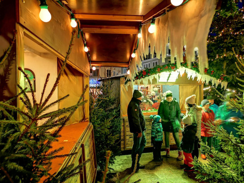 Eisschnitzer  Hofer Weihnachtsmarkt 2018 16.12.2018 – Foto 59