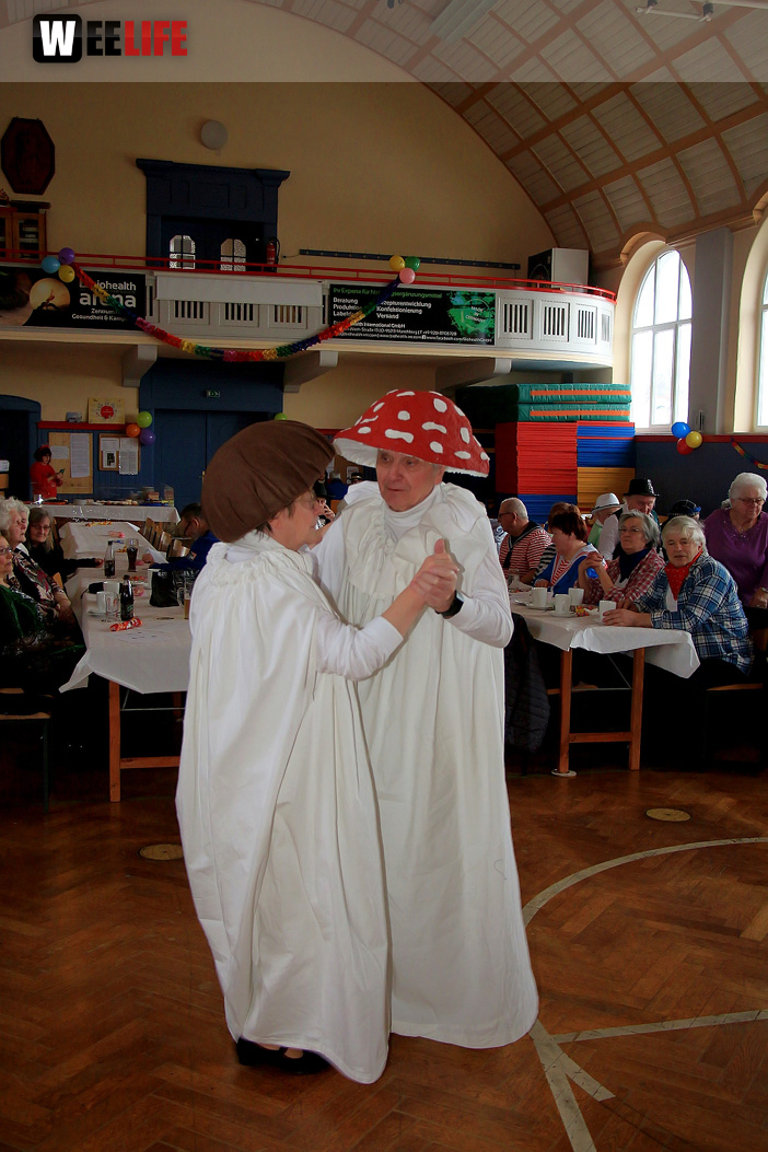 VDK Kreisverband Hof Fasching