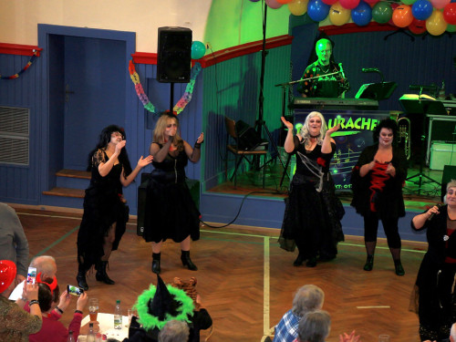 VDK Kreisverband Hof Fasching – Foto 41