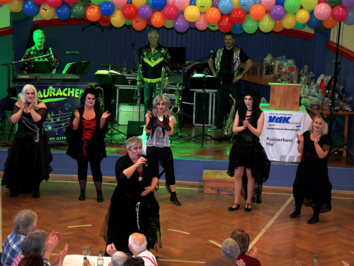 VDK Kreisverband Hof Fasching – Foto 43