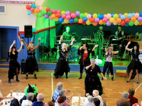 VDK Kreisverband Hof Fasching – Foto 46