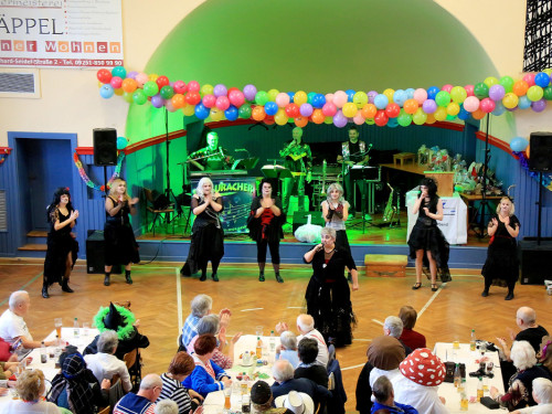 VDK Kreisverband Hof Fasching – Foto 49