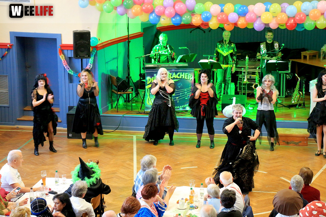 VDK Kreisverband Hof Fasching