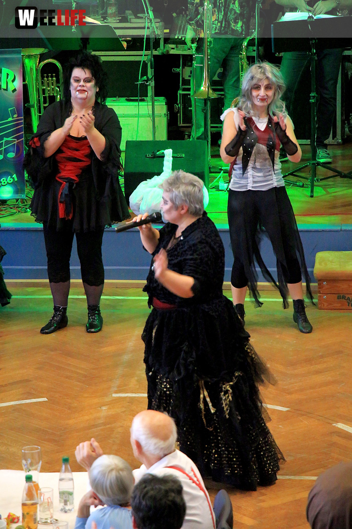 VDK Kreisverband Hof Fasching