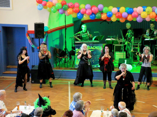 VDK Kreisverband Hof Fasching – Foto 55