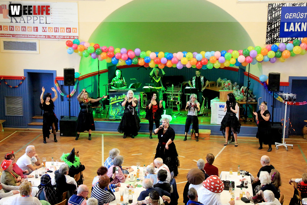 VDK Kreisverband Hof Fasching