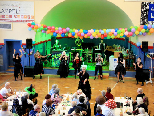 VDK Kreisverband Hof Fasching – Foto 58