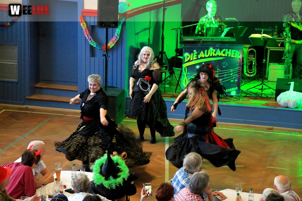 VDK Kreisverband Hof Fasching