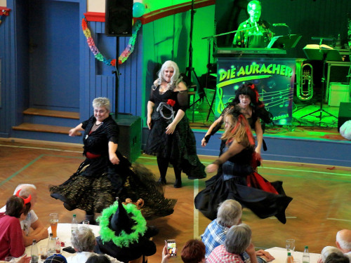 VDK Kreisverband Hof Fasching – Foto 60