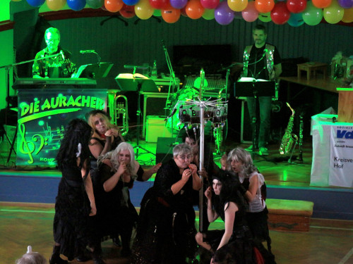 VDK Kreisverband Hof Fasching – Foto 63
