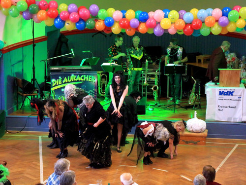VDK Kreisverband Hof Fasching – Foto 66