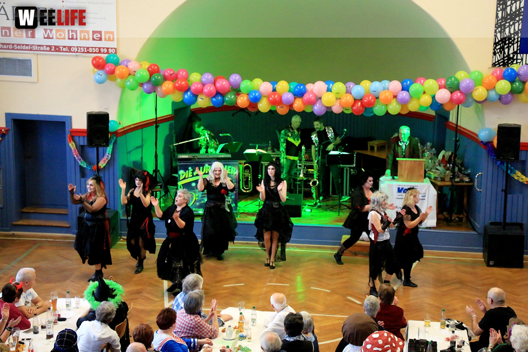 VDK Kreisverband Hof Fasching