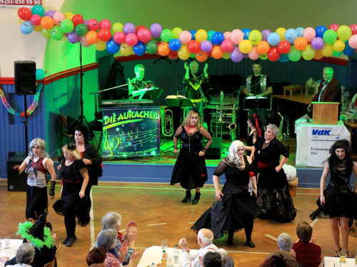 VDK Kreisverband Hof Fasching – Foto 73