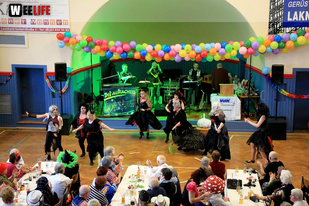 VDK Kreisverband Hof Fasching