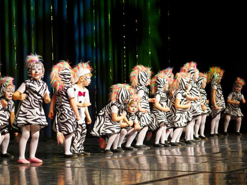 Gut tu Tage Samstag Soul City Dancers The Arts Teil1 – Foto 4