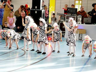 Foto 222091 im Album
