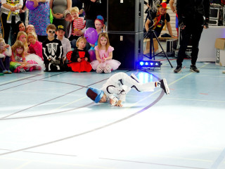 Vorschau des vorherigen Fotos