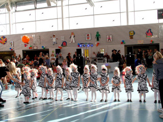 Foto 222206 im Album