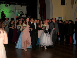 Foto 223185 im Album