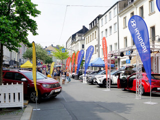 Foto 223544 im Album
