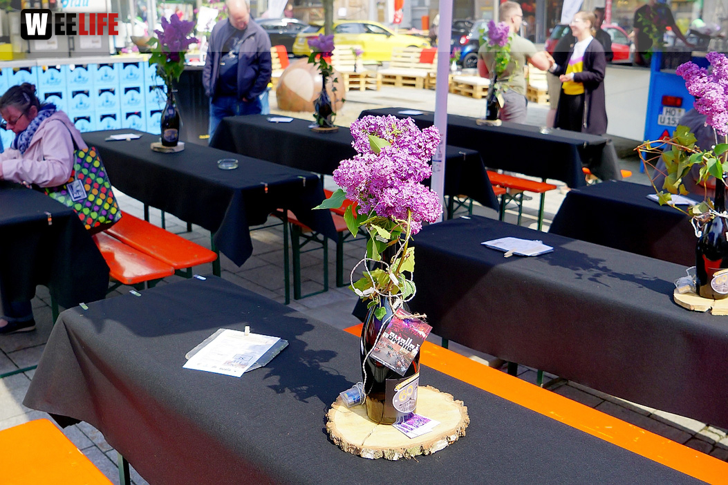Boxenstopp Autoschau Hofer Stadt und Bürgerfest 2019 