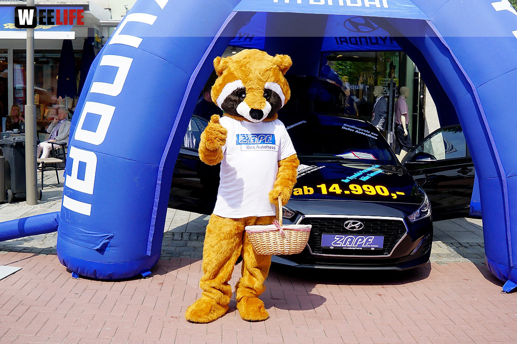 Boxenstopp Autoschau Hofer Stadt und Bürgerfest 2019 