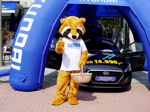 Boxenstopp Autoschau Hofer Stadt und Bürgerfest 2019  – Foto 14