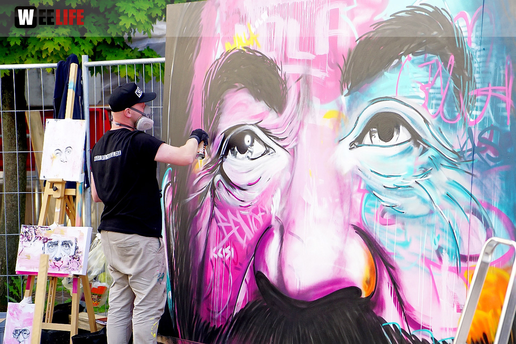 Boxenstopp Autoschau Hofer Stadt und Bürgerfest 2019 