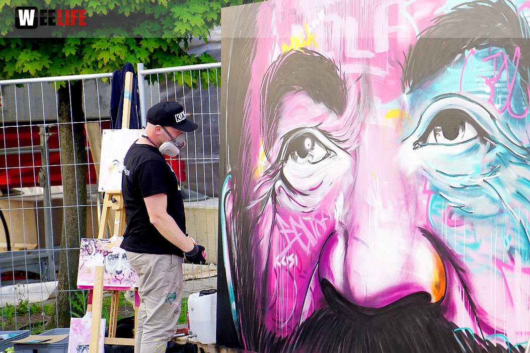 Boxenstopp Autoschau Hofer Stadt und Bürgerfest 2019 