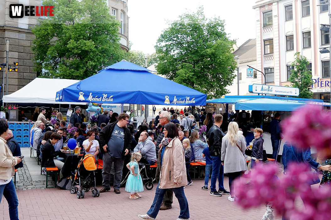 Boxenstopp Autoschau Hofer Stadt und Bürgerfest 2019 