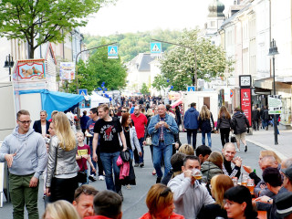 Foto 223600 im Album