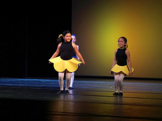Foto 224071 im Album