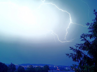 Foto 224241 im Album