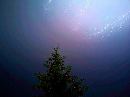 Gewitter 11.6.2019 – Foto 6